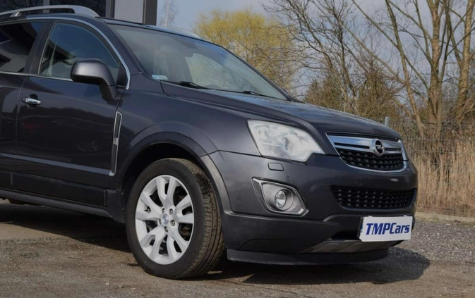 Opel Antara cena 39900 przebieg: 169530, rok produkcji 2014 z Przecław małe 436